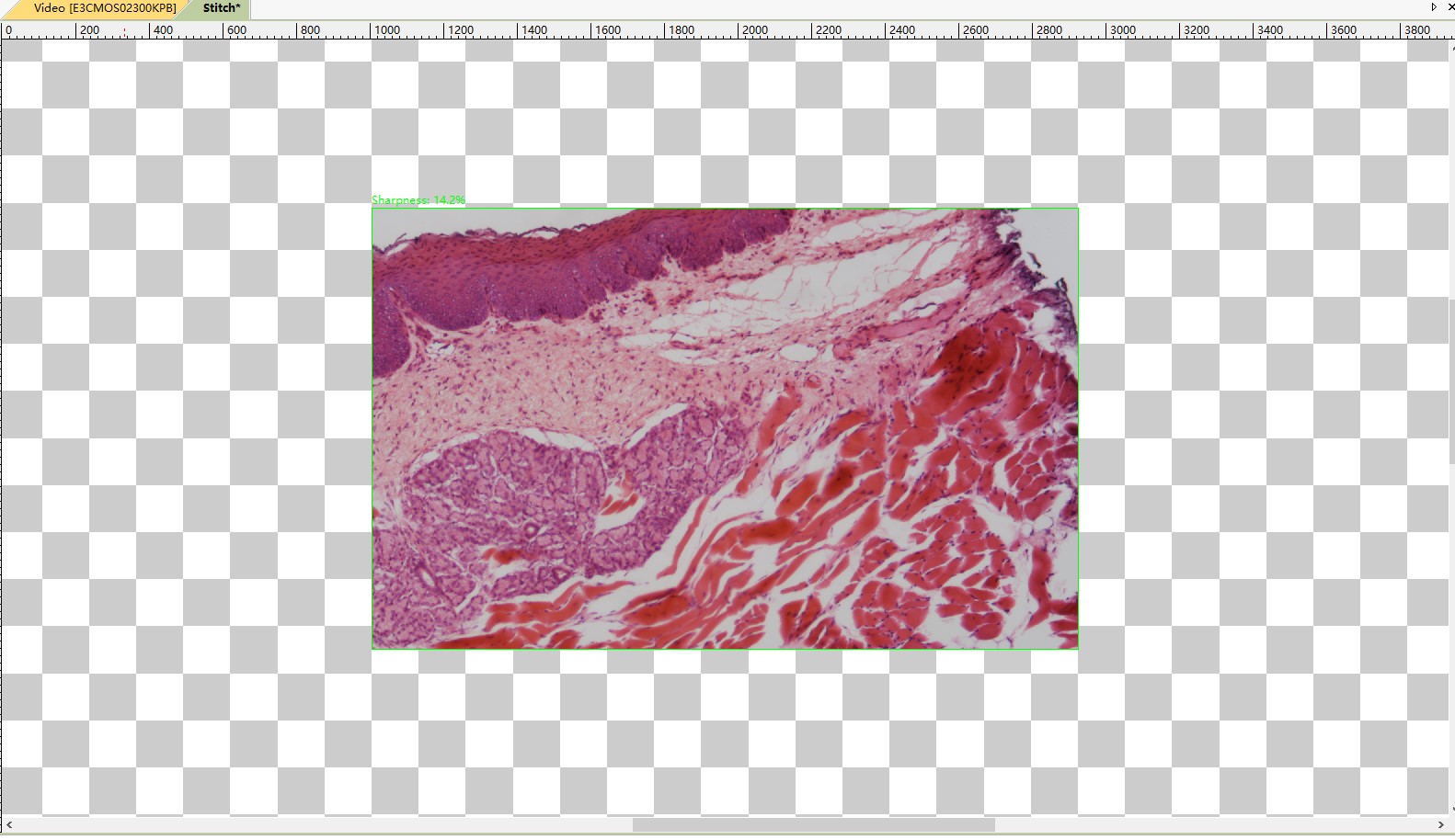 ToupTek Photonics | ToupCam